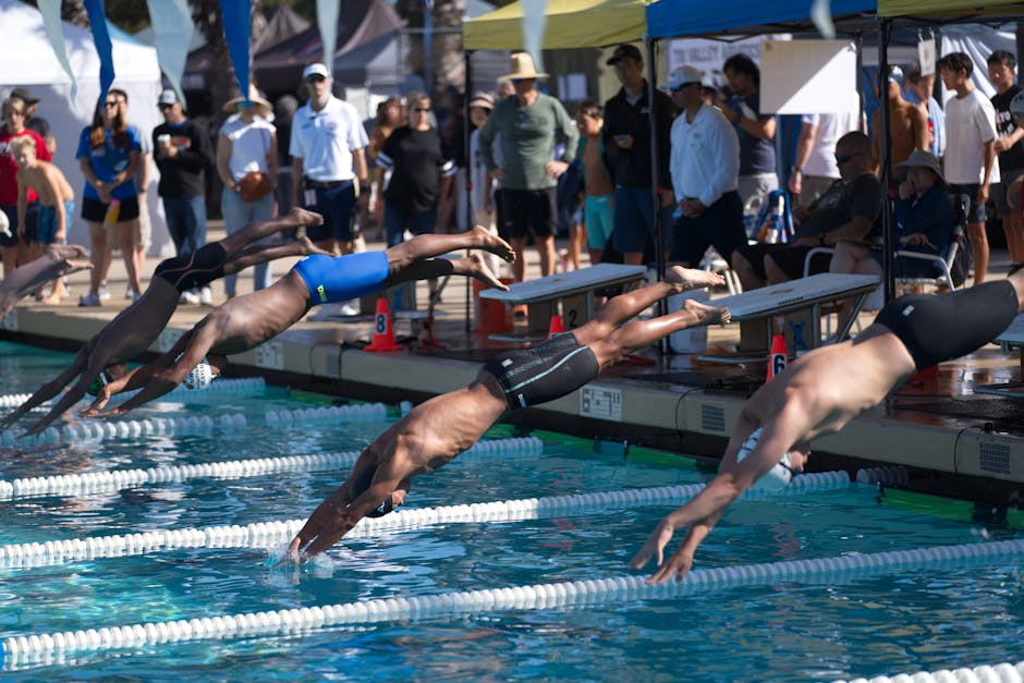 Swimmers diving into the water at a competition